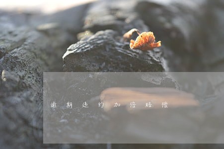 逾期违约加倍赔偿 逾期违约加倍赔偿