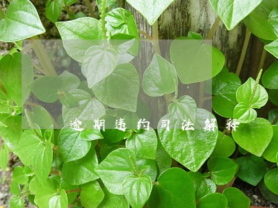 逾期违约司法解释 逾期违约司法解释