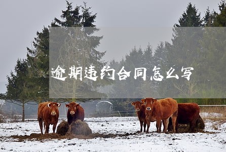 逾期违约合同怎么写 逾期违约合同怎么写