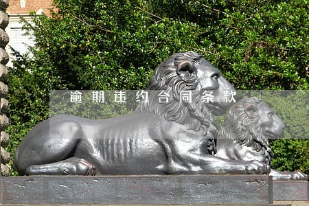 逾期违约合同条款 逾期违约合同条款