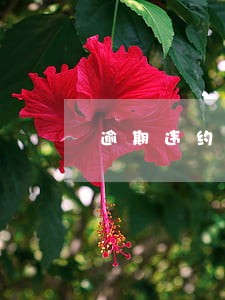 逾期违约合同法 逾期违约合同法