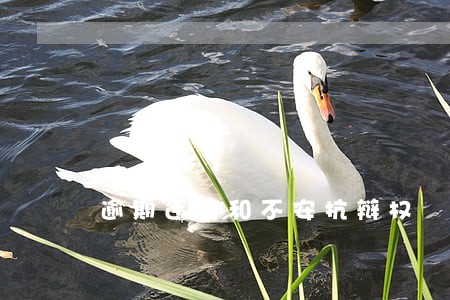逾期违约和不安抗辩权