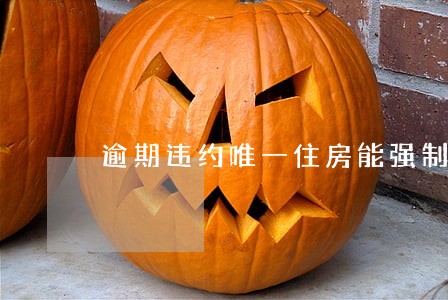 逾期违约唯一住房能强制执行吗