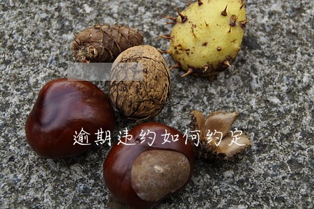 逾期违约如何约定 逾期违约如何约定