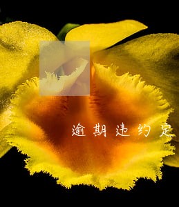 逾期违约定金需要双倍赔付 逾期违约定金需要双倍赔付