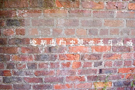 逾期违约少量偿还可以吗 逾期违约少量偿还可以吗