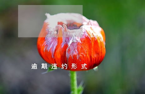 逾期违约形式 逾期违约形式