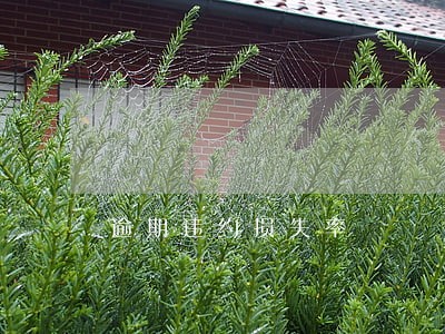 逾期违约损失率 逾期违约损失率
