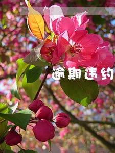 逾期违约提醒 逾期违约提醒