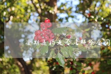 逾期违约是否以解除合同为前提 逾期违约是否以解除合同为前提