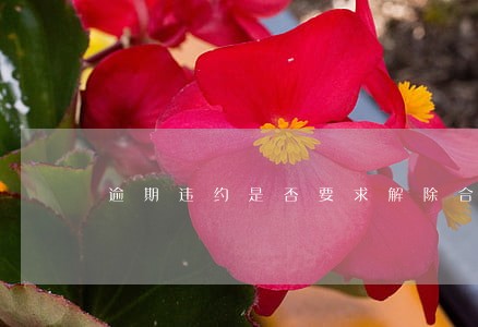逾期违约是否要求解除合同