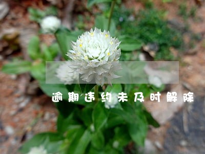 逾期违约未及时解除 逾期违约未及时解除