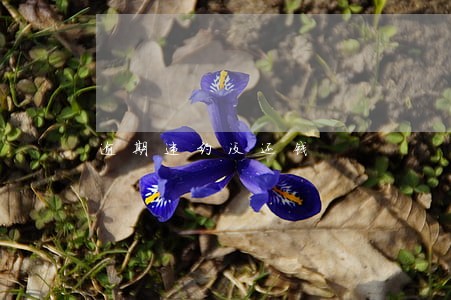 逾期违约没还钱 逾期违约没还钱