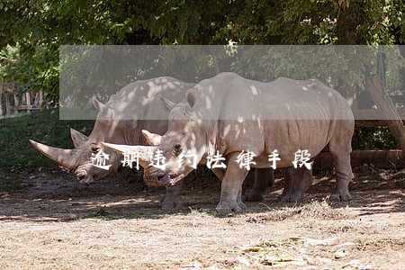 逾期违约法律手段 逾期违约法律手段