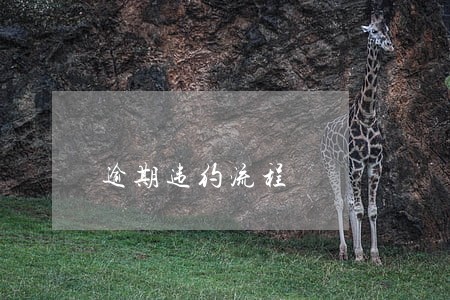 逾期违约流程 逾期违约流程