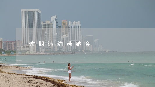 逾期违约滞纳金 逾期违约滞纳金
