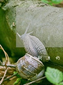 逾期违约的利息计算 逾期违约的利息计算