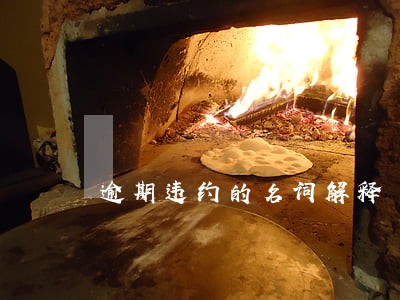 逾期违约的名词解释