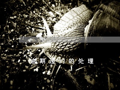 逾期违约的处理