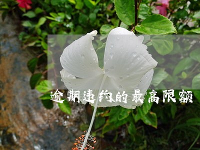 逾期违约的最高限额 逾期违约的最高限额