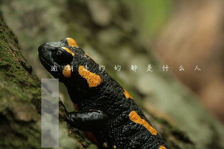 逾期违约的都是什么人 逾期违约的都是什么人