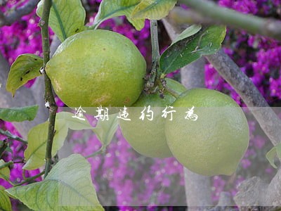 逾期违约行为 逾期违约行为
