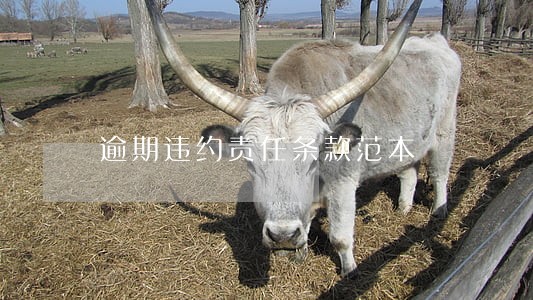 逾期违约责任条款范本