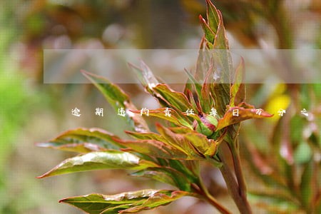 逾期违约责任每日万分之五 逾期违约责任每日万分之五