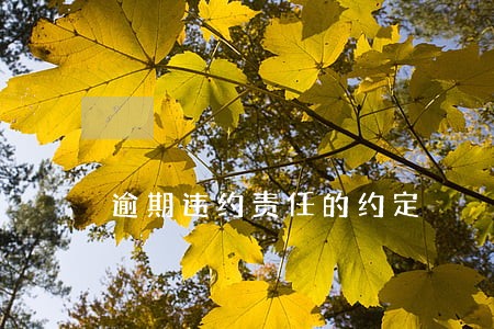逾期违约责任的约定 逾期违约责任的约定
