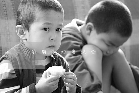 逾期违约质保金 逾期违约质保金