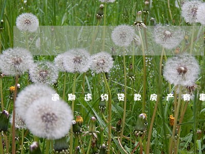 逾期违约贷款房产有事吗