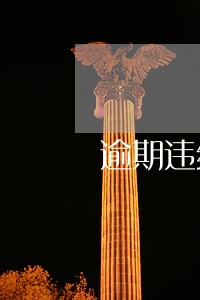 逾期违约车辆 逾期违约车辆