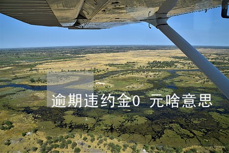 逾期违约金0元啥意思 逾期违约金0元啥意思