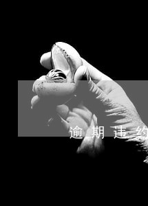 逾期违约金500 逾期违约金500