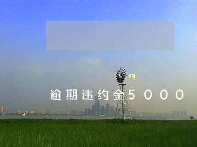 逾期违约金5000 逾期违约金5000