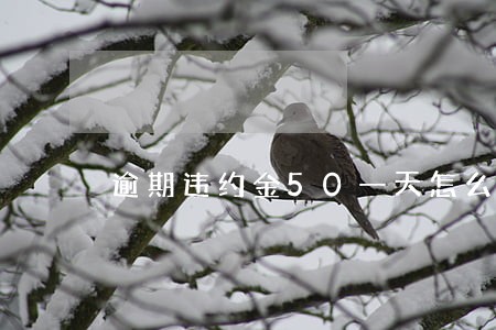 逾期违约金50一天怎么样 逾期违约金50一天怎么样