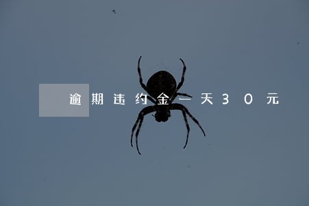 逾期违约金一天30元 逾期违约金一天30元