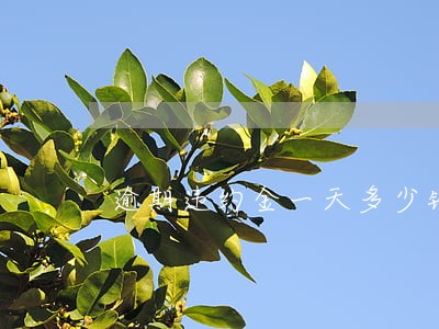 逾期违约金一天多少钱 逾期违约金一天多少钱