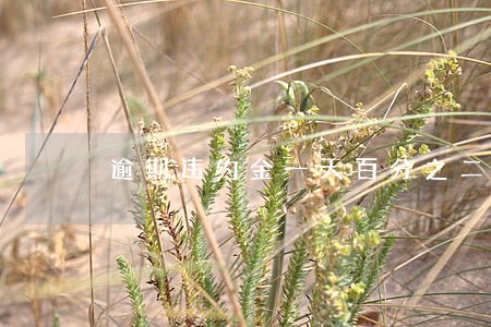逾期违约金一天百分之二十合法吗 逾期违约金一天百分之二十合法吗