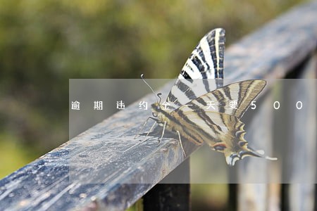 逾期违约金一天要500 逾期违约金一天要500