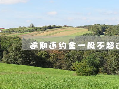 逾期违约金一般不超过标的多少 逾期违约金一般不超过标的多少