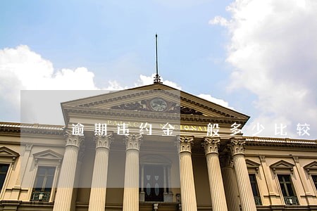 逾期违约金一般多少比较合适