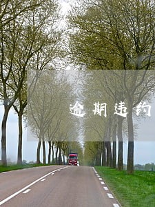 逾期违约金一般是多少一天 逾期违约金一般是多少一天