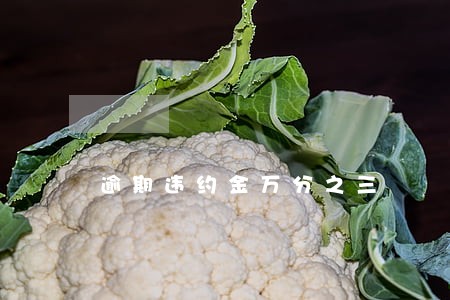 逾期违约金万分之三