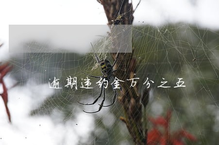 逾期违约金万分之五