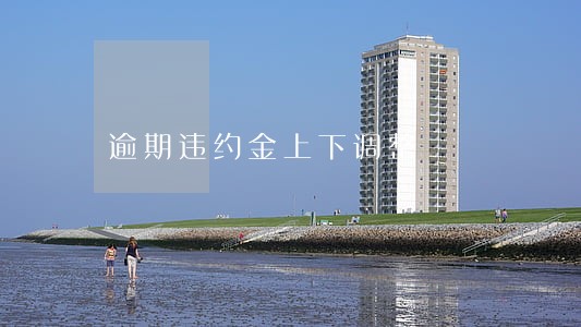逾期违约金上下调整 逾期违约金上下调整
