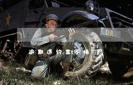 逾期违约金不换 逾期违约金不换