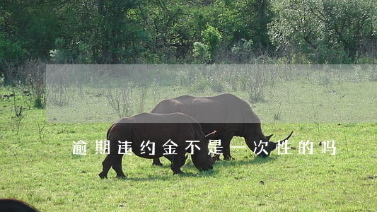 逾期违约金不是一次性的吗 逾期违约金不是一次性的吗
