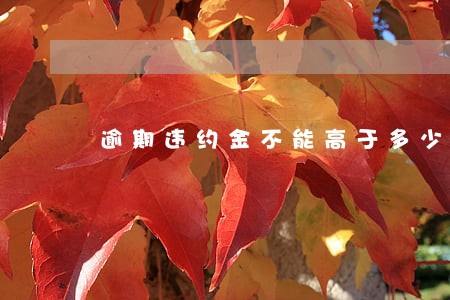 逾期违约金不能高于多少钱