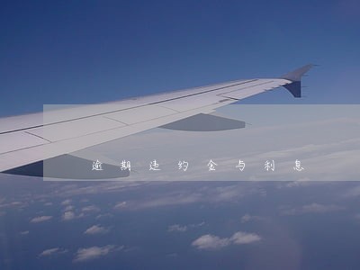 逾期违约金与利息 逾期违约金与利息
